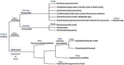 Coral Venom Toxins